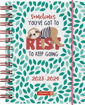 Picture of A6 SCHOLASTIC DIARY 23/24 DAY A PAGE SLOTH